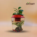 Aquarium pots