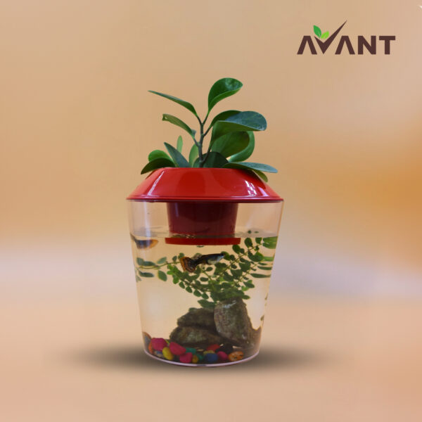 Aquarium pots